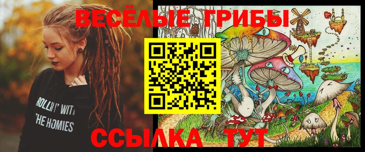 наркотики  Вход с VPN  Артёмовский  Псилоцибиновые грибы Psilocybine cubensis 